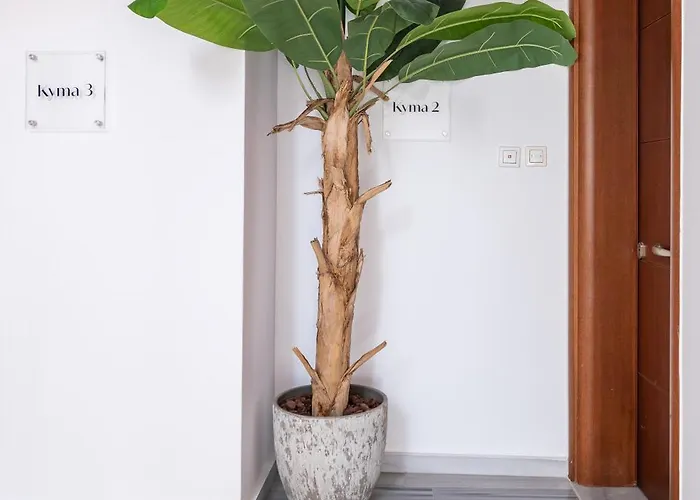 Apartamento Beachfront Haven, 3 Min To - Gaia 2 *