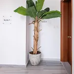 Apartman Beachfront Haven, 3 Min To - Gaia 2 *